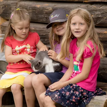 Appartement Standlhof *